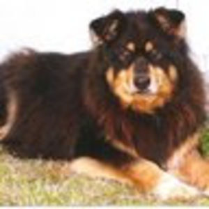 Meet your Posher, Caitie